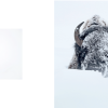 White , nuevo libro +LIBRO AFRICA - Imagen 4