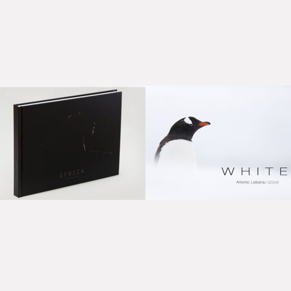 White , nuevo libro +LIBRO AFRICA