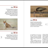 Libro , El Fotógrafo de Fauna - Imagen 4