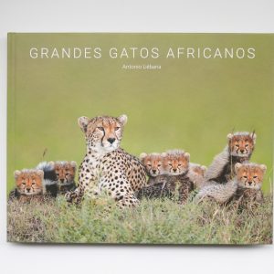 Grandes Gatos Africanos