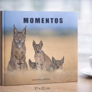 Libro , MOMENTOS PREORDEN