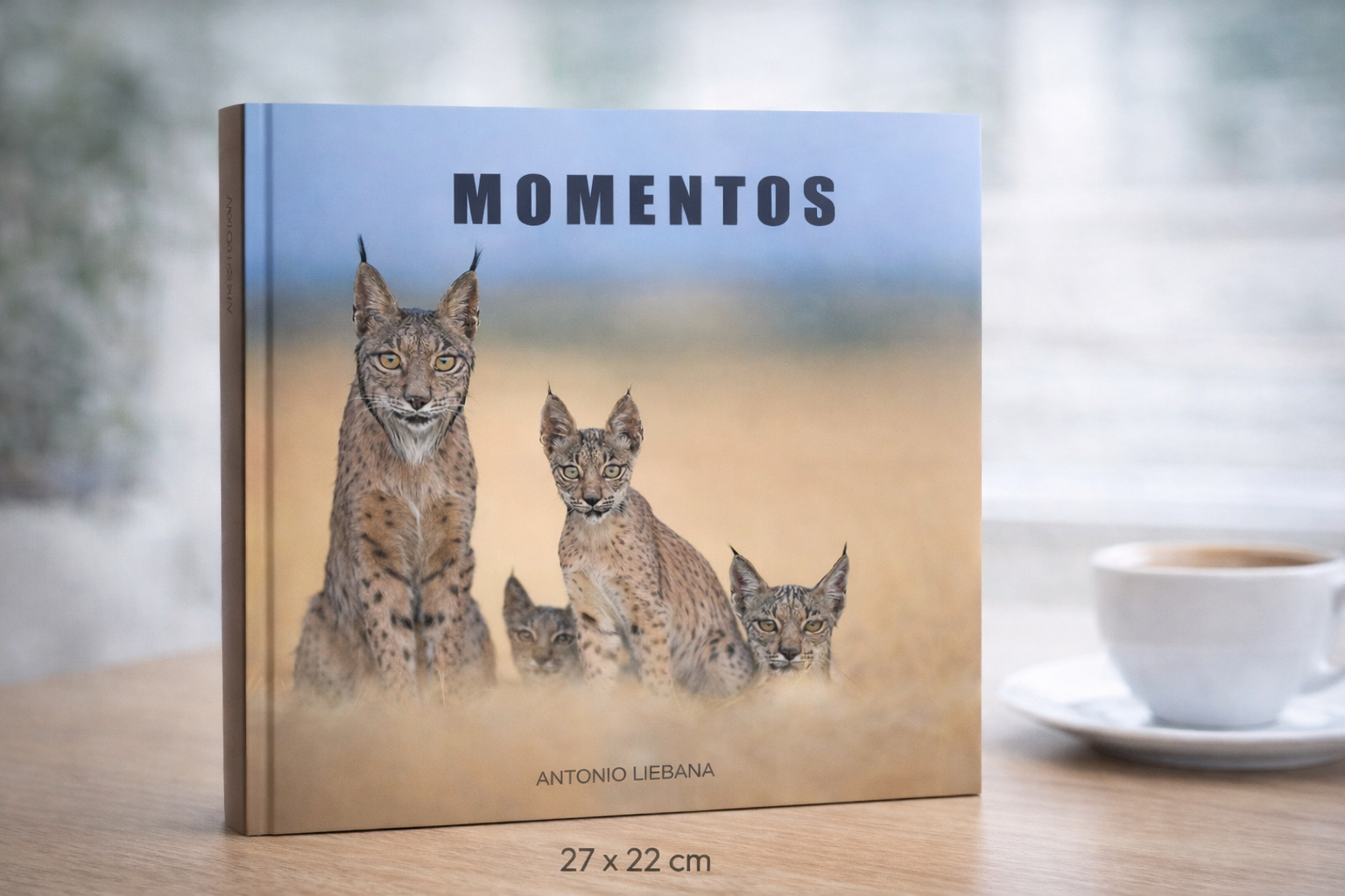 Libro , MOMENTOS PREORDEN